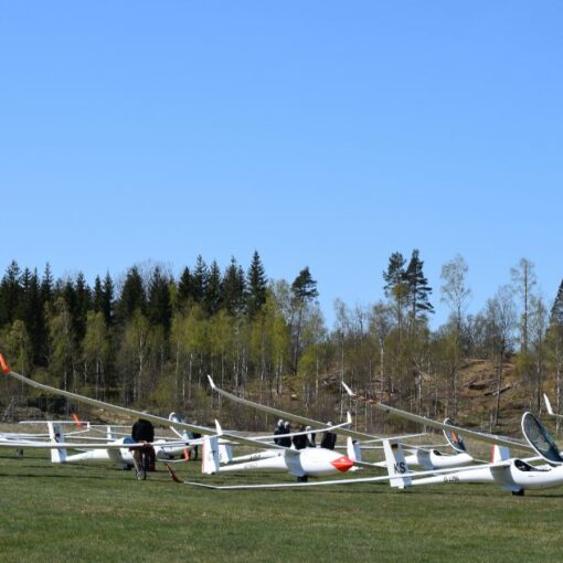 Segelflugzeuge aufgereiht zum Start